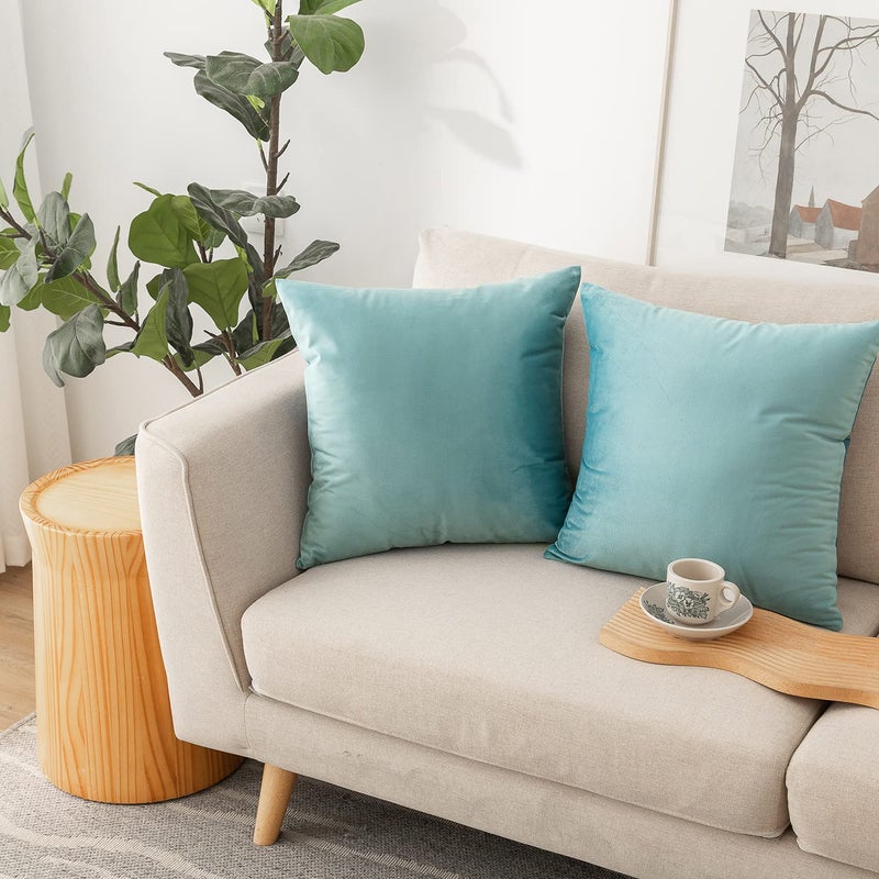 NiNi ALL Decorative Throw Pillow Covers Pack of 2  Velvet Cushion Case for Couch Bedroom Living Room Outdoor  Pillow Covers 20x20 Inch(50 x 50 cm) Light Blue - Image 1